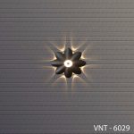 Đèn Gắn Tường Ngoài Trời VNT-6029